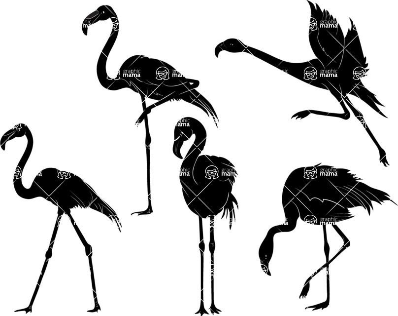 Vector silhouettes - Vector Flamingo Silhouettes Set
